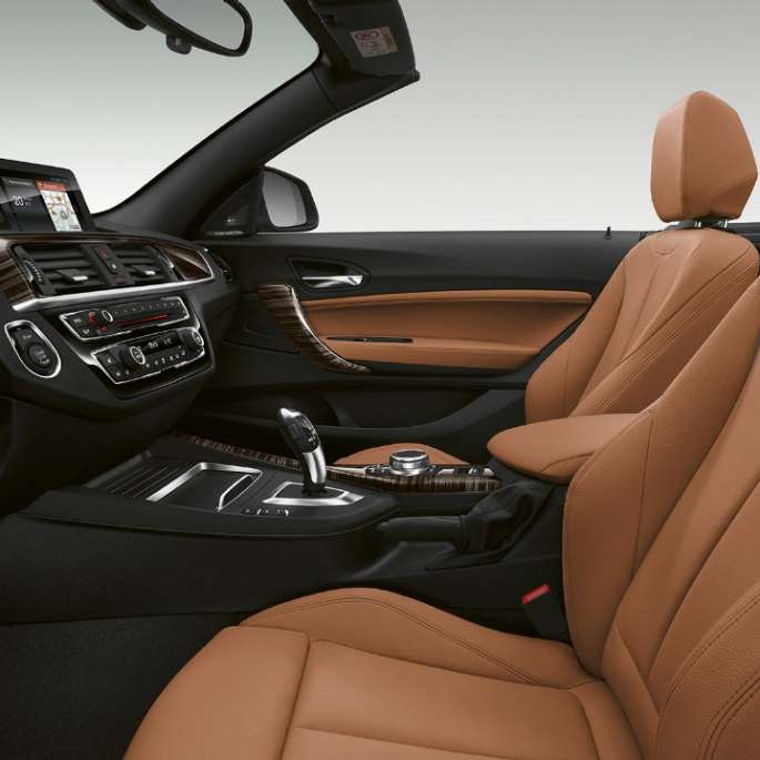 BMW 2 Series Convertible, Model Luxury Line interior